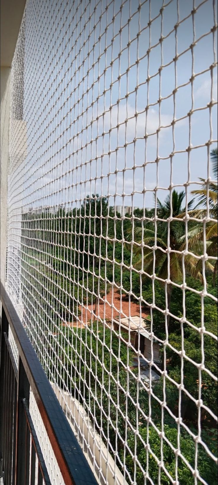 pigeon net